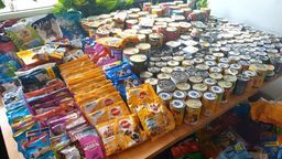 Puławy: Bezdomne zwierzęta czeka prawdziwa uczta 