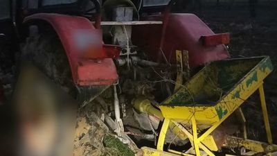 Lubelskie: Potworny wypadek przy wycince gałęzi