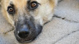 Zdjęcie ilustracyjne