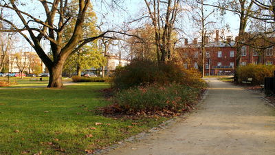 Utwardzenie ścieżek na Skwerze Niepodległości było jedną z wyborczych obietnic urzędującego prezydenta Puław. Na jej wykonanie będzie musiał zaczekać. Radni uznali, że w przyszłym roku są ważniejsze sprawy, niż wymiana szutru na betonową kostkę.