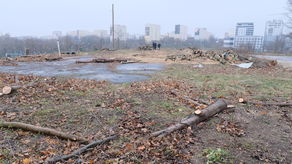 Taki widok na działce w centrum Lublina. Wycinają drzewa, zbudują blok