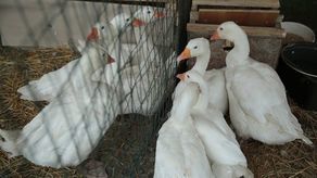 Zdjęcie ilustracyjne