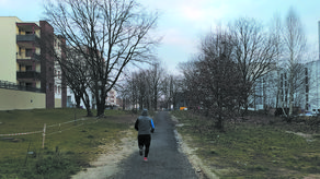 Jezdnia, która według Urzędu Miasta będzie mieć 7 m szerokości, planowana w miejscu prowizorycznej ścieżki, ma się zmieścić między przeznaczonymi do pozostawienia drzewami