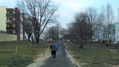 Jezdnia, która według Urzędu Miasta będzie mieć 7 m szerokości, planowana w miejscu prowizorycznej ścieżki, ma się zmieścić między przeznaczonymi do pozostawienia drzewami