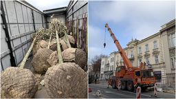 Lublin: Lipy wprowadzają się na Krakowskie Przedmieście