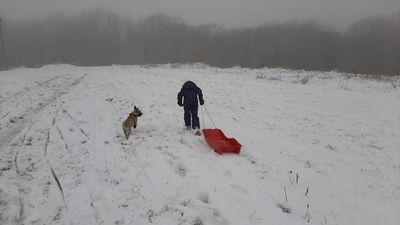 Kumowa Dolina w Chełmie cała w śniegu. Czas na sanki [WASZE ZDJĘCIA]