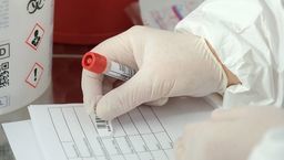 Zdjęcie ilustracyne