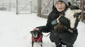 Pani Grażyna z kotem Maćkiem i psem Rufikiem