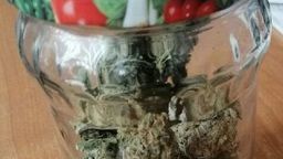 Słoik z marihuaną. Mężczyzna trzymał narkotyki w kiosku