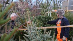 Zdjęcie ilustracyjne