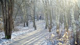 Miasto przejmie od lasów Stary Gaj? Najnowsza deklaracja prezydenta Lublina