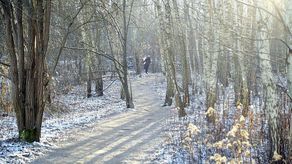 Miasto przejmie od lasów Stary Gaj? Najnowsza deklaracja prezydenta Lublina