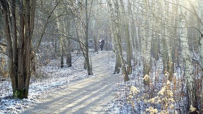 Miasto przejmie od lasów Stary Gaj? Najnowsza deklaracja prezydenta Lublina