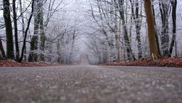 Zdjęcie ilustracyjne