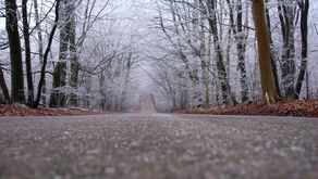 Zdjęcie ilustracyjne