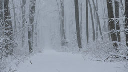 Roztoczański Park Narodowy