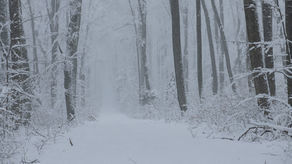 Roztoczański Park Narodowy
