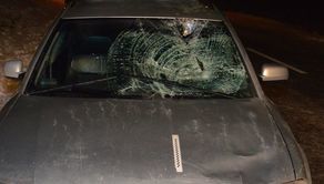 Wyszedł zza busa wprost na drogę, kierująca nie miała szans zahamować