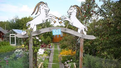 Miejskie grunty jak ogródki działkowe? Radny Lublina rzuca pomysł