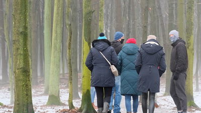 Lublin. Wiele słów, niewiele skutków.  Radni podjęli uchwałę o lasach