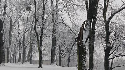 Zima w parku w Chełmie