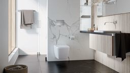 Surowość i prostota. Urządzamy elegancką łazienkę