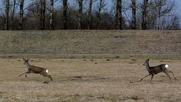 Zdjęcie ilustracyjne