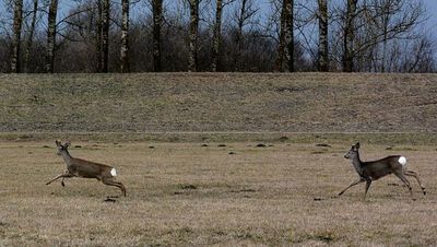 Zdjęcie ilustracyjne