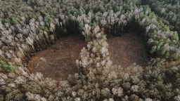 Adam Kot, nadleśniczy Nadleśnictwa Świdnik, zwrócił uwagę, że na naszej stronie dziennikwschodni.pl do artykułu o cięciu w Starym Gaju zamieściliśmy zdjęcie wyrębu innego miejsca. – Zdjęcia ukazywały tzw. cięcia gniazdowe w kolejnym wydzieleniu, nieco oddalonym od miejsca, o które pytał czytelnik (chodziło miejsce przy granicy z rezerwatem Stasin – przyp. red.).