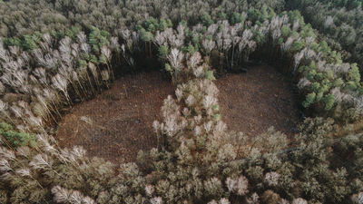 Adam Kot, nadleśniczy Nadleśnictwa Świdnik, zwrócił uwagę, że na naszej stronie dziennikwschodni.pl do artykułu o cięciu w Starym Gaju zamieściliśmy zdjęcie wyrębu innego miejsca. – Zdjęcia ukazywały tzw. cięcia gniazdowe w kolejnym wydzieleniu, nieco oddalonym od miejsca, o które pytał czytelnik (chodziło miejsce przy granicy z rezerwatem Stasin – przyp. red.).