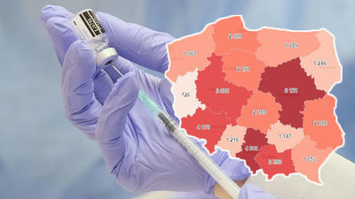 Zdjęcie ilustracyjne