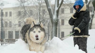 Śnieg w Lublinie. I jeszcze będzie padał