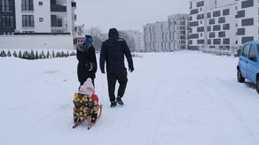 Ul. Berylowa. Wstępnie wiadomo już, ile zieleni trzeba będzie wyciąć pod budowę drogi