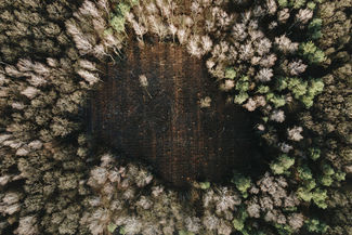 Lublin: Proszą o zwołanie "okrągłego stołu" w sprawie Starego Gaju