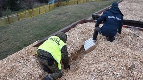 Przygraniczny przemyt to już przemysł: "tysiące zatrzymań"