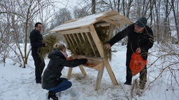 Paśnik w międzyrzeckim parku