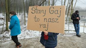 Lubelscy radni zajmą się tematem Starego Gaju i Dąbrowy. Choć niczego to nie zmieni