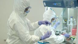 Badacze prognozują, jak zmieni się epidemia SARS-CoV2 w ciągu dekady