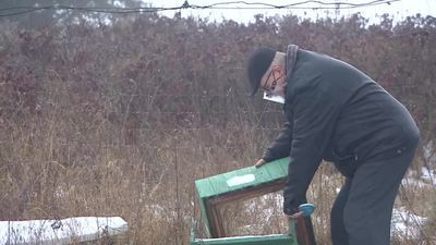 "Jak to zobaczyłem, zacząłem płakać. To barbarzyństwo". Zniszczone ule i zabite pszczoły