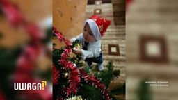 14-miesięczny Michałek nie żyje. Zabił go toksyczny gaz z trutki na szczury?