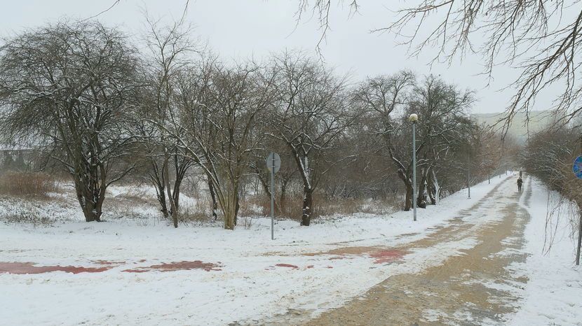 Spór dotyczy terenów po lewej stronie drogi pieszo-rowerowej zaczynającej się przy ul. Kazimierza Wielkiego za ogródkami działkowymi