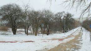 Spór, który trafił na wczorajszą wokandę sądu, dotyczy terenów po lewej stronie drogi pieszo-rowerowej zaczynającej się przy ul. Kazimierza Wielkiego za ogródkami działkowymi