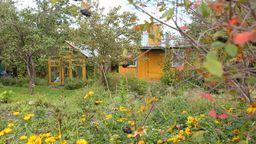 Świdnik: Będą dotacje dla rodzinnych ogrodów działkowych?