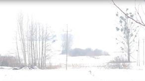 Czytelnik ruszył na poszukiwania śniegu. Trasa Zamość – Skierbieszów w 6 minut