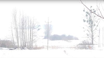 Czytelnik ruszył na poszukiwania śniegu. Trasa Zamość – Skierbieszów w 6 minut