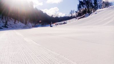 Wyciągi w Stacji Kazimierz ruszają we wtorek, 19 stycznia



 




 