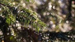 Zdjęcie ilustracyjne