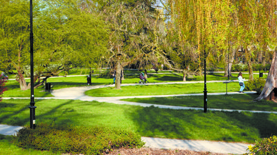 Skwer Niepodległości. Pierwotna wersja uchwały zakładała zwiększenie środków na nowe nasadzenia tylko w tym miejscu o 100 tys. zł. Gdy radni zaczęli oponować, prezydent złożył autopoprawkę, kierując te środki bardziej ogólnie - na miejską zieleń