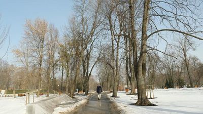 Wycinki drzew dotarły do parku Ludowego. A otworzyli go zaledwie pod koniec grudnia