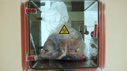 Państwowy Instytut Weterynaryjny w Puławach